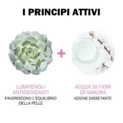 Jowae Jowaé Crema Viso Idratante Colorata Chiara 30 Ml -Galenia shop 35212 5