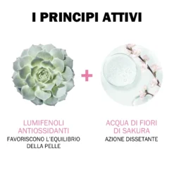 Jowae Jowaé Crema Leggera Idratante Viso 40 Ml -Galenia shop 3664262000139.04