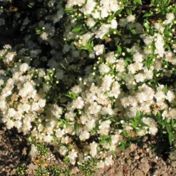 Ducray Keracnyl Mat Gel Crema 30ml -Galenia shop ducray keracnyl mat gel crema 30ml 3 1636476878